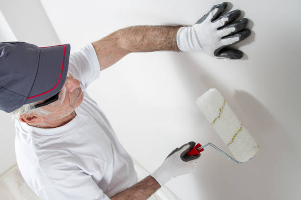 Best Mold Damage Restoration  in Wilderness Rim, WA
