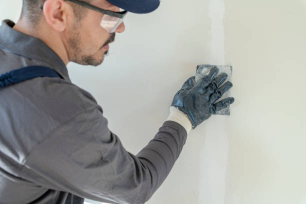Best Comprehensive Air Testing for Mold Contaminants  in Wilderness Rim, WA