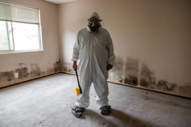 Best Industrial Mold Remediation  in Wilderness Rim, WA