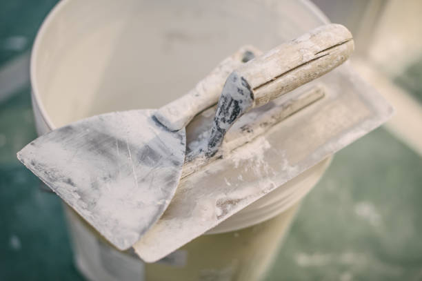 Wilderness Rim, WA Mold Removal Company